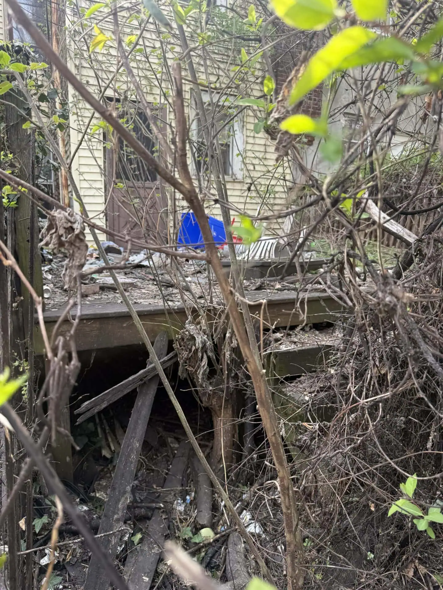 2239 Bonnaffon St – Philadelphia, PA 19142